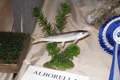 2007-arborella